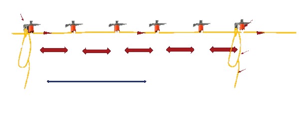Lifeline® Ski diagram